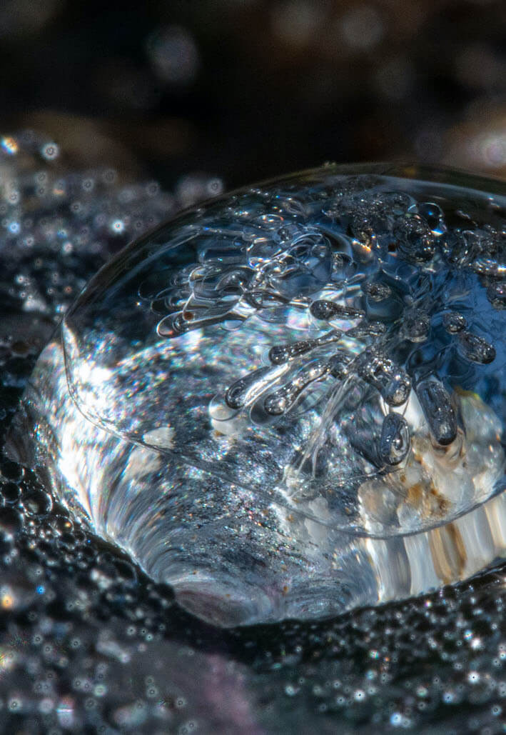 close up water droplet image production