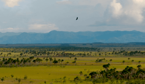 environmental travel production')