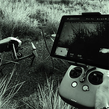 Green film production