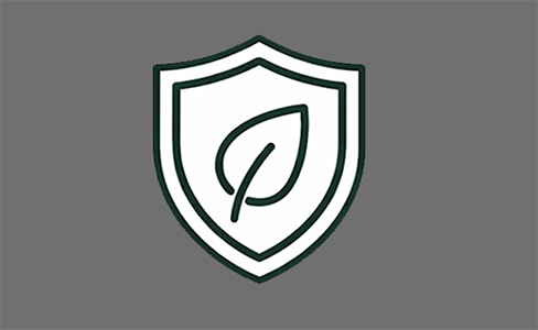 Responsible video production